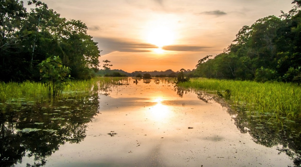 Amazonas: Donde las ciudades se esconden entre la niebla - Amazonas